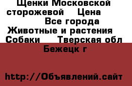 Щенки Московской сторожевой  › Цена ­ 25 000 - Все города Животные и растения » Собаки   . Тверская обл.,Бежецк г.